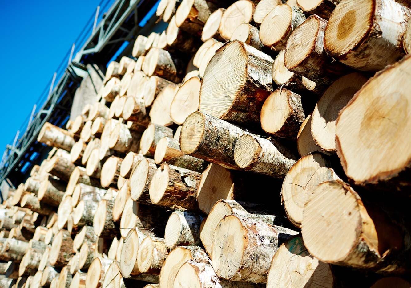 reducción de gastos de materia prima